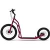 Yedoo Monopattino Yedoo Steel S2016 Disc Burgundy