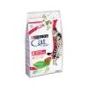 NESTLE' PURINA CAT CHOW KG 10 URINARY *acquisto minimo 2pz*