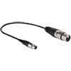 ASHATA Cavo Microfono XLR a 3 Pin Femmina a Femmina, Cavo Mini XLR 3 Pin Femmina a XLR 3 Pin Femmina per Fotocamere/per Reflex Connessione Microfono Standard