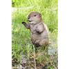 Hi-Line Gift Ltd. STATUA IN PIEDI AMERICAN BEAVER CUB