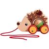 Eichhorn 100006802 - Animale da disegno, multicolore