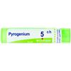 Boiron PYROGENIUM 5 CH GRANULI 4G
