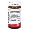WALA ECHINACEA ARGENTUM GLOBULI 20 G
