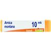 Boiron ARNICA MONTANA XMK DILUIZIONE KORSAKOVIANA IN GLOBULI 1G