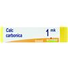Boiron CALCAREA CARBONICA OSTREARUM MK GLOBULI 1G
