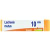 BOIRON LACHESIS MUTUS XMK GLOBULI