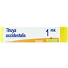 BOIRON THUYA OCCIDENTALIS MK GLOBULI