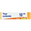BOIRON THUYA OCCIDENTALIS XMK GLOBULI