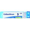 Boiron COLIBACILLINUM 9CH GRANULI 4G