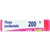 Boiron THUYA OCCIDENT 200K GLOBULI 1G