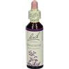 BACH CENTER ESSENCE IMPATIENS 20 ML