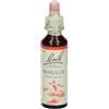 BACH CENTER ESS MIMULUS 20ML