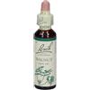 BACH CENTER ESS WALNUT 20ML