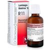DR.RECKEWEG RECKEWEG R11 GOCCE 22 ML