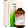 DR.RECKEWEG RECKEWEG R32 GOCCE 22 ML