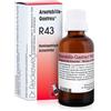 DR.RECKEWEG RECKEWEG R43 GOCCE 22 ML