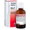 Dr. Reckeweg RECKEWEG R67 GOCCE 22 ML