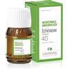 Lehning Laboratoires LEHNING 40 ECHINACEA COMP 30 ML