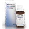 Guna ARNICA COMP.-HEEL GOCCE