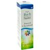 Guna SWEET CHESTNUT GUNA GOCCE 10 ML