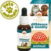 Green Remedies DIFFIDENCE & TIMIDITY 30 ML