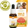 Green Remedies VIGOR & ENERGY 30 ML
