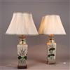 Coppia di Lampade Antiche Porcellana Decorata Cina XX Secolo