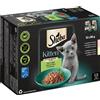 Sheba Kitten Variazioni Buste 12 x 85 g Umido per gatto - Squisite varietà in salsa (salmone, pollo)