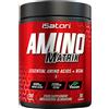 ISATORI Amino Matrix 300 cpr