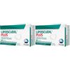 Piam Farmaceutici SpA LIPOSCUDIL® Plus Capsule Set da 2 2x30 pz