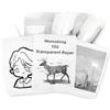 Memoking T02/M02L/Q02E/M02/M02X Carta Adesiva Trasparente Adesiva | T02 Mini Stampante Sticker Paper Refill, 50 mm x 3,5 m, Conserva per 20 anni, per diari, fotos, Memo, Testi, 3 rotoli