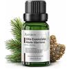 AMYRON Olio Essenziale Abete 15ml AMYRON | Abete Siberica | Naturale E Puro Al 100% | Ideale Per Aromaterapia | Terapeutico | Diffusore Oli Essenziali | Massaggi aromatici | Uso Alimentare Senza OGM