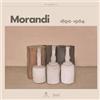 24 Ore Cultura Giorgio Morandi 1890-1964. Catalogo della mostra (Milano, 5 ottobre 2023-28 gennaio 2024). Ediz. a colori