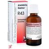 DR.RECKEWEG & CO. GMBH RECKEWEG R43 GOCCE 22ML