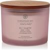 Chesapeake Bay Candle Joy & Laughter (Cranberry Dahlia) 3 stoppini hter (Cranberry Dahlia) Candela Profumata Vasetto