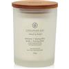 Chesapeake Bay Candle Peace & Tranquility (Cashmere Jasmine) Media & Tranquility (Cashmere Jasmine) Candela Profumata Vasetto