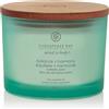 Chesapeake Bay Candle Balance & Harmony (Waterlily Pear) 3 stoppini Harmony (Waterlily Pear) Candela Profumata Vasetto
