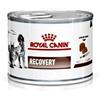 ROYAL CANIN DIETA CANE E GATTO RECOVERY UMIDO 195 G