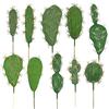 Woohome 10 Pz Piante Succulente Artificiali Simulazione Cactus Succulente Piante Artificial pour Maison Décoration de Jardin Intérieur