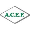ACEF Srl Magnesio Cloruro ACEF 1Kg