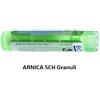 Boiron ARNICA MONTANA 5CH DILUIZIONE HAHNEMANNIANA CENTESIMALE IN GRANULI