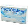 Laerbium Pharma Gasnorm Plus 36 Capsule