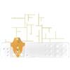 Bioseven Strisce Misurazione Glicemia Linea D Oro 25 Pezzi