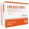 Lj Pharma Farmitalia Ind. Chim. Farm. Lipease Forte 20 Stick Pack Monodose