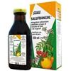 Salus Haus Gmbh & Co Kg Salufrangol 250 Ml