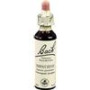 Loacker Remedia IMPATIENTS BACH ORIG 20 ML