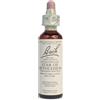 Loacker Remedia STAR OF BETHL ORIG 20 ML