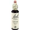 Loacker Remedia CHICORY BACH ORIG 20 ML