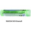 Boiron SILICEA 5 CH GRANULI
