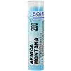 Boiron ARNICA MONTANA 200CH GRANULI 1 G